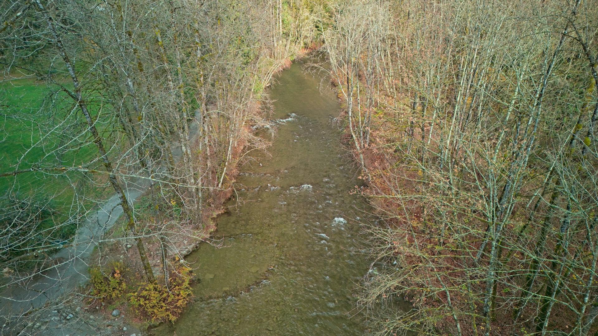 Aerial view of a river through a forest with a path beside